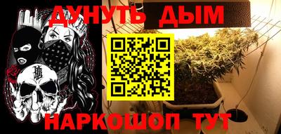 стафф Бийск