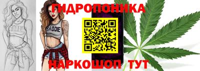 твердый Берёзовский