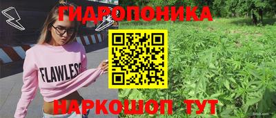 твердый Берёзовский