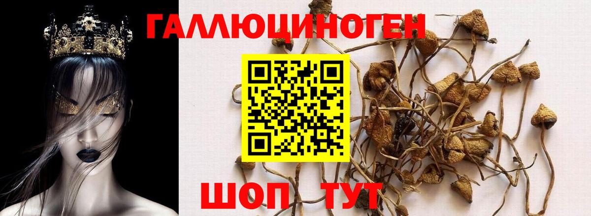Псилоцибиновые грибы ЛСД Ижевск